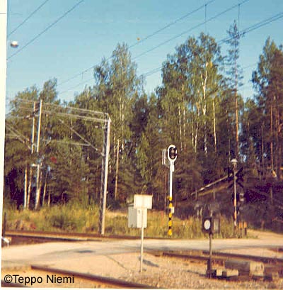 TaPRK