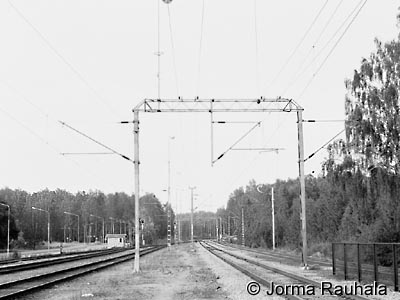 TaPRK